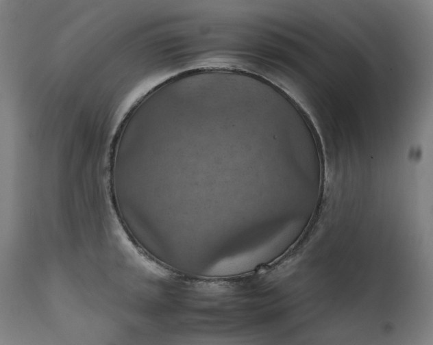 X0000111351045200907241154