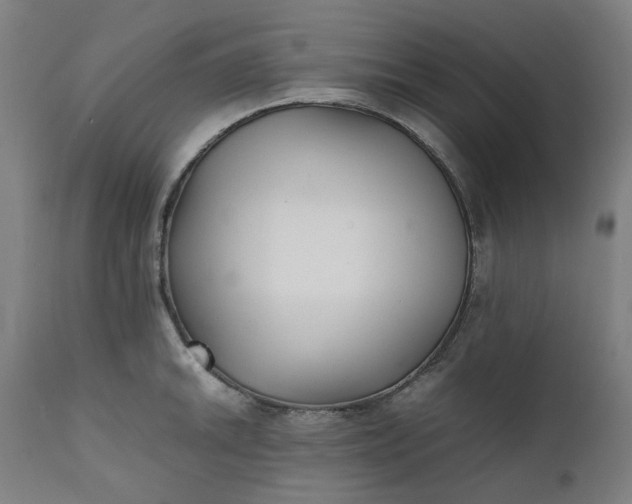 X0000111351046200907241154