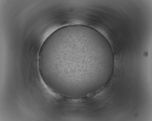 X0000111351047200907241154