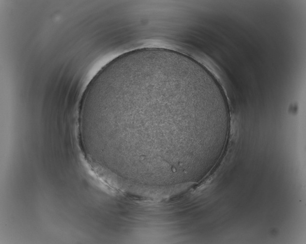 X0000111351048200907241154