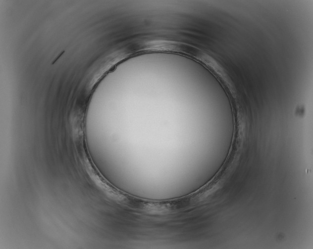 X0000111351049200907241154