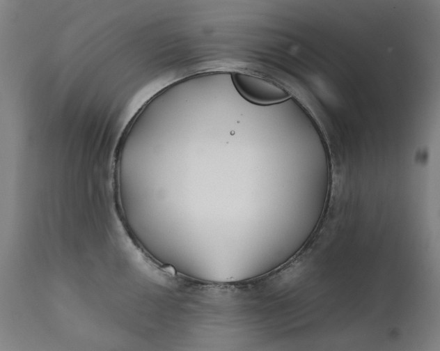 X0000111351050200907241154