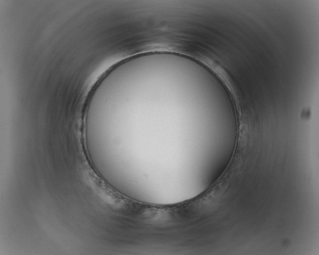 X0000111351051200907241154