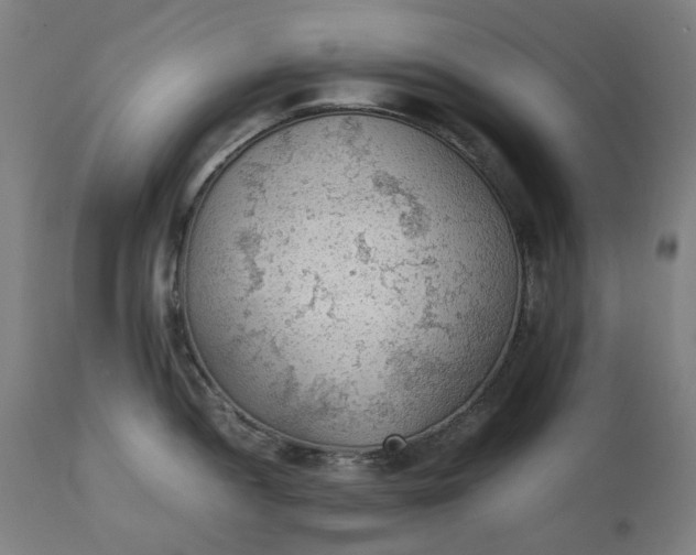 X0000111351052200907241154