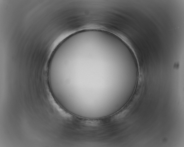 X0000111351053200907241154