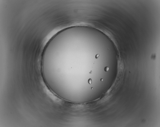 X0000111351054200907241154