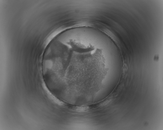 X0000111351055200907241154