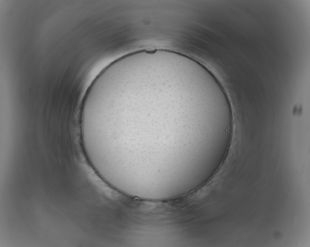 X0000111351056200907241154