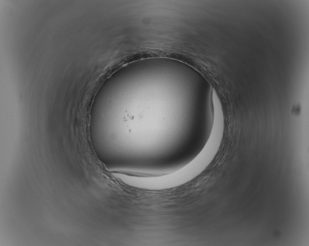 X0000111351057200907241153