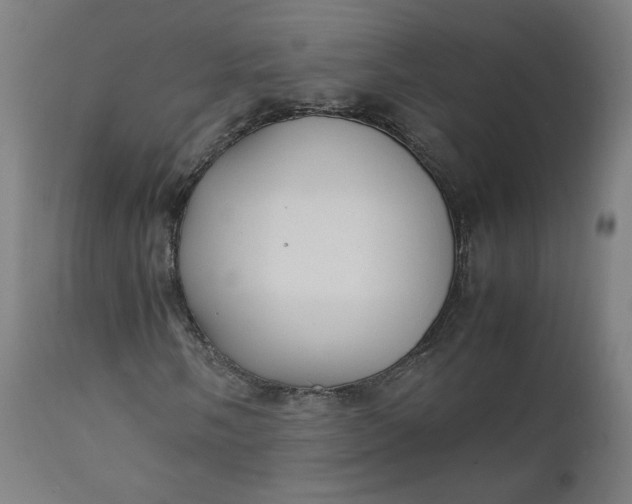 X0000111351058200907241153