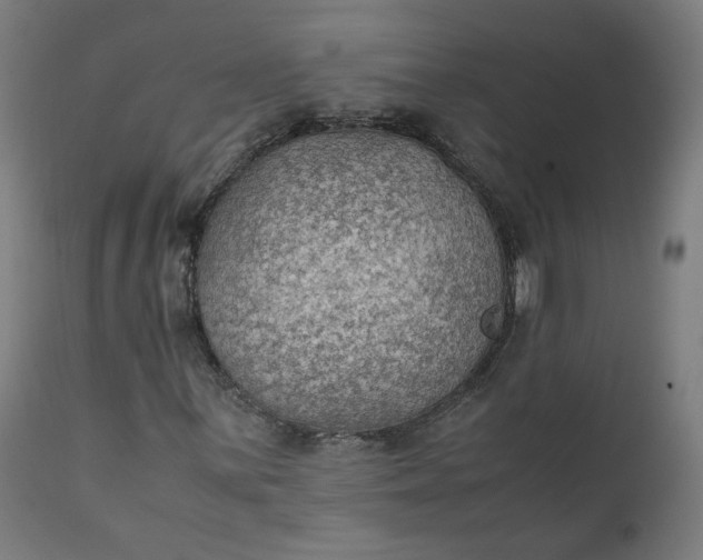 X0000111351059200907241153