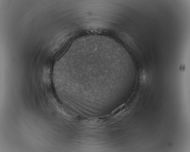 X0000111351060200907241153