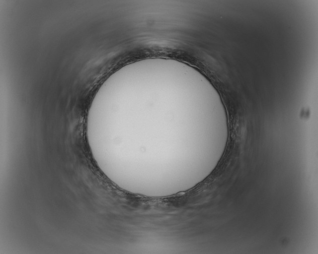 X0000111351061200907241153