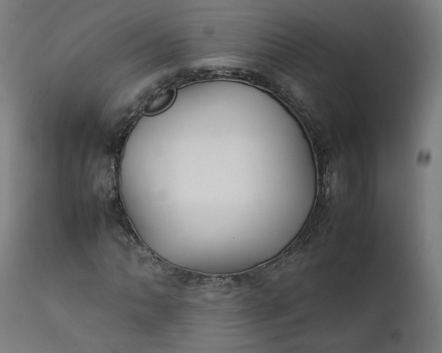 X0000111351062200907241153