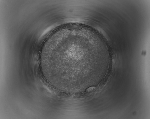 X0000111351064200907241153