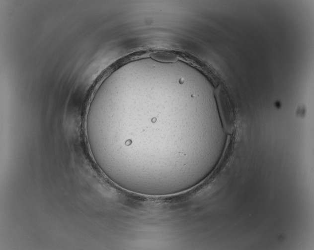 X0000111351065200907241153