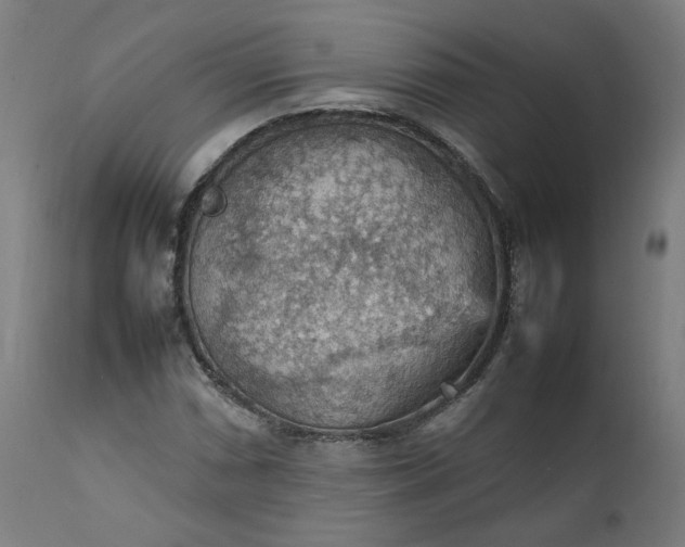 X0000111351066200907241153