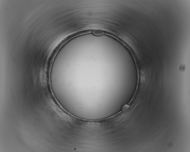 X0000111351068200907241153