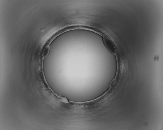 X0000111351069200907241153