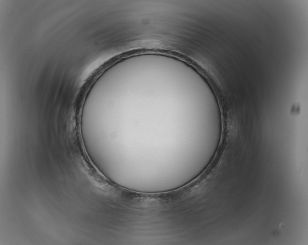 X0000111351070200907241153