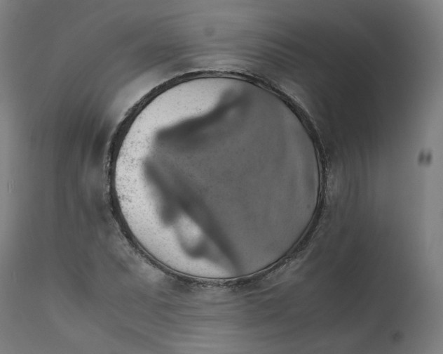 X0000111351071200907241153