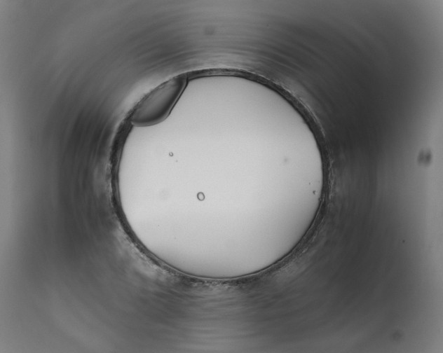 X0000111351072200907241153