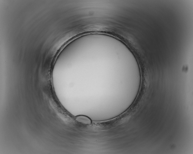 X0000111351073200907241153