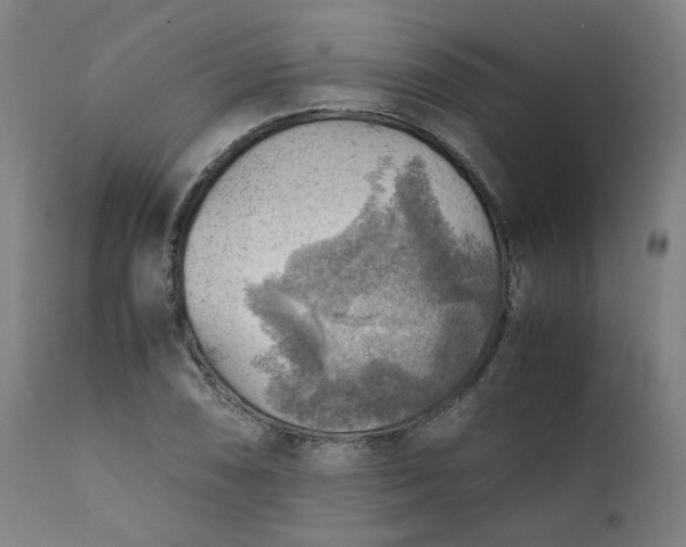 X0000111351074200907241153