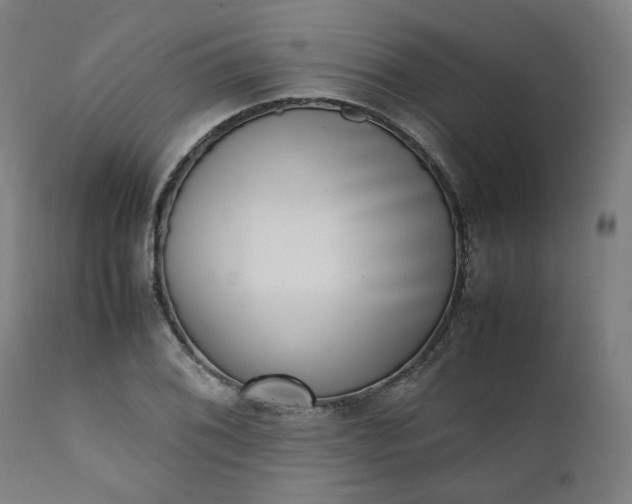 X0000111351076200907241153