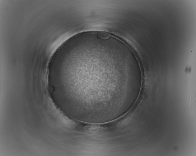 X0000111351077200907241153