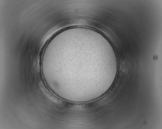 X0000111351078200907241153