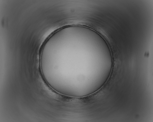 X0000111351079200907241153