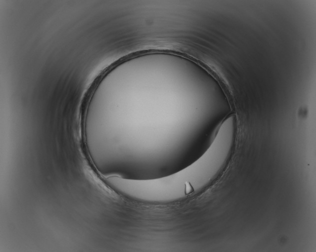 X0000111351080200907241153