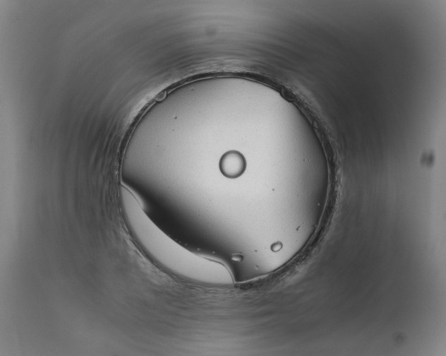 X0000111351081200907241153