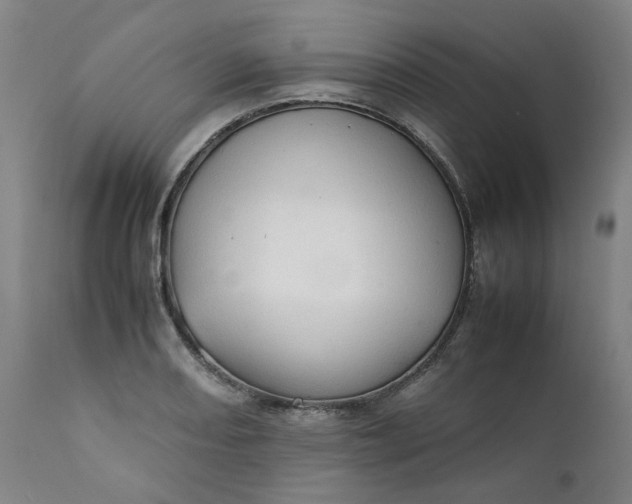 X0000111351082200907241153