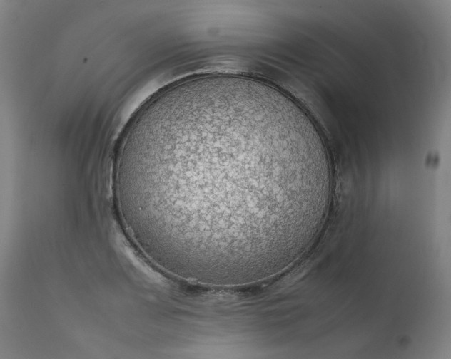 X0000111351083200907241153