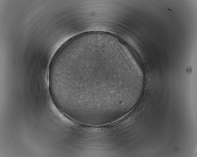 X0000111351084200907241153