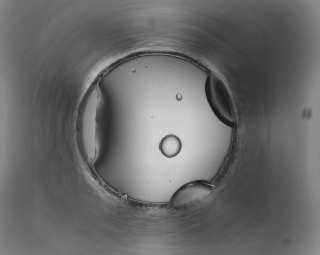 X0000111351085200907241153