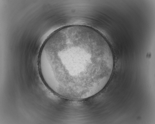 X0000111351086200907241153