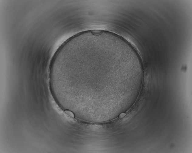 X0000111351088200907241153