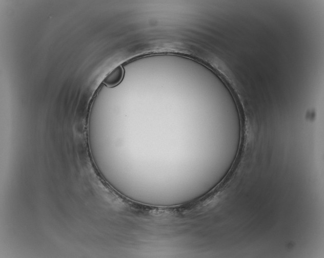 X0000111351089200907241153