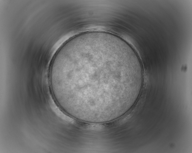 X0000111351090200907241153