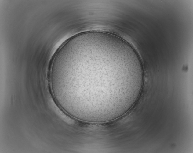 X0000111351091200907241153