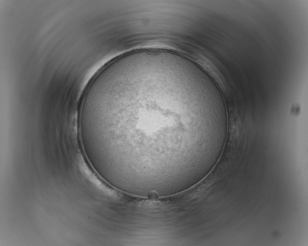 X0000111351092200907241153