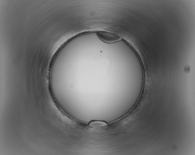 X0000111351093200907241153