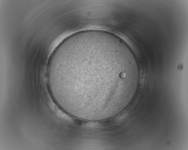 X0000111351094200907241153