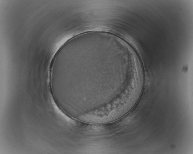 X0000111351095200907241153