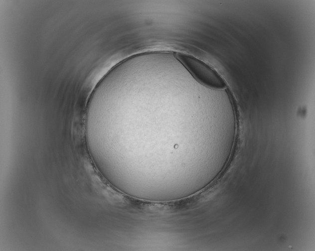 X0000111351097200907241153