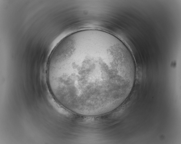 X0000111351098200907241153