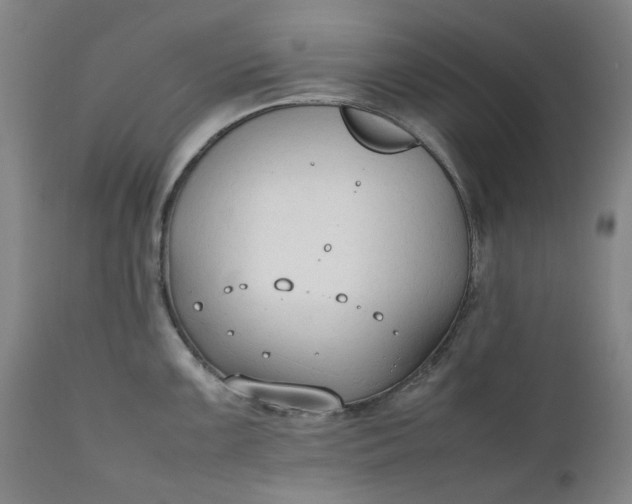 X0000111351099200907241153